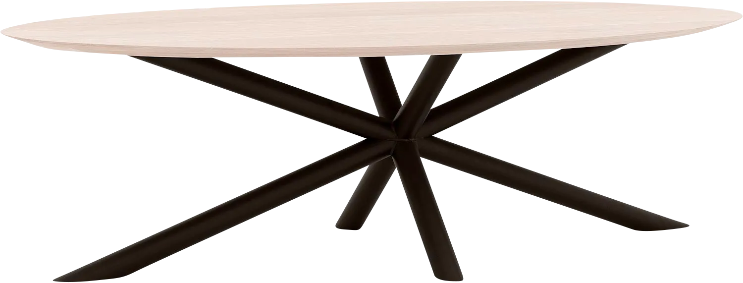 Goossens Excellent Eettafel Gs-1302, Ovaal 260 x 130 cm
