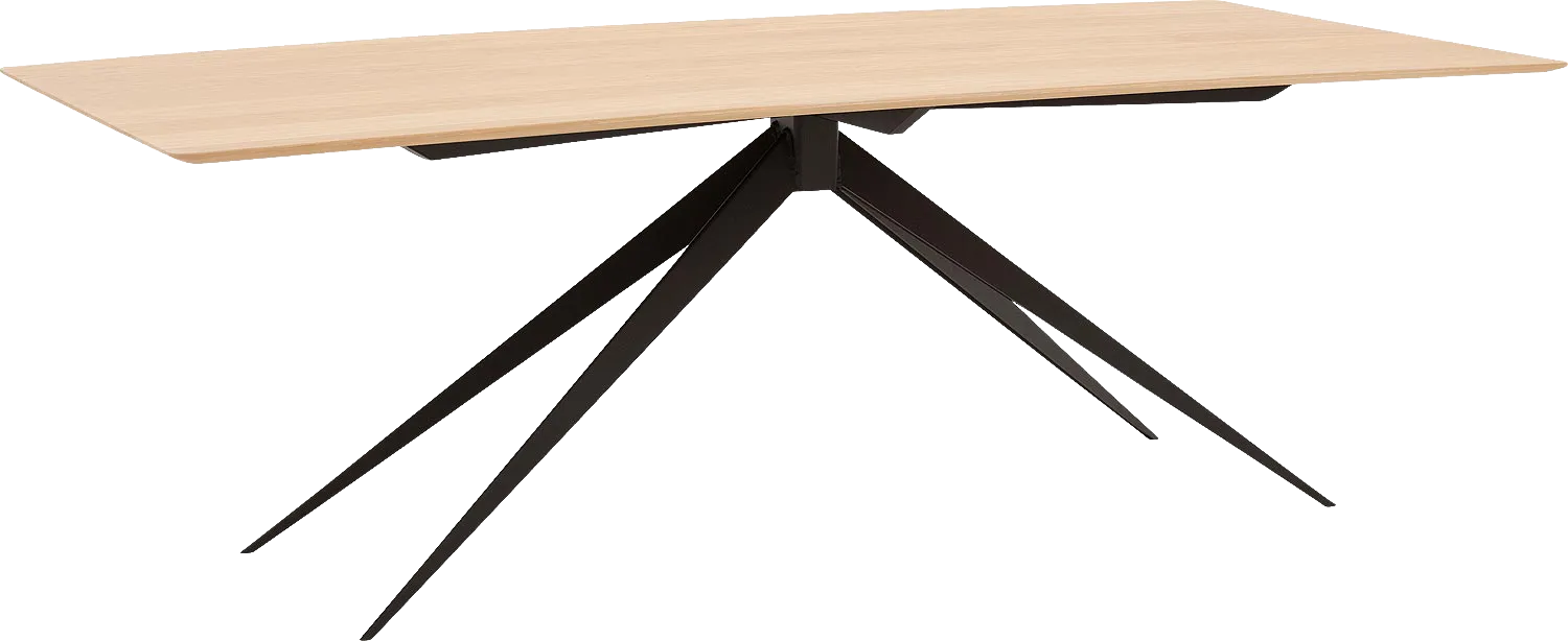 Goossens Excellent Eettafel Uniek, Rechthoekig 220 x 100 cm