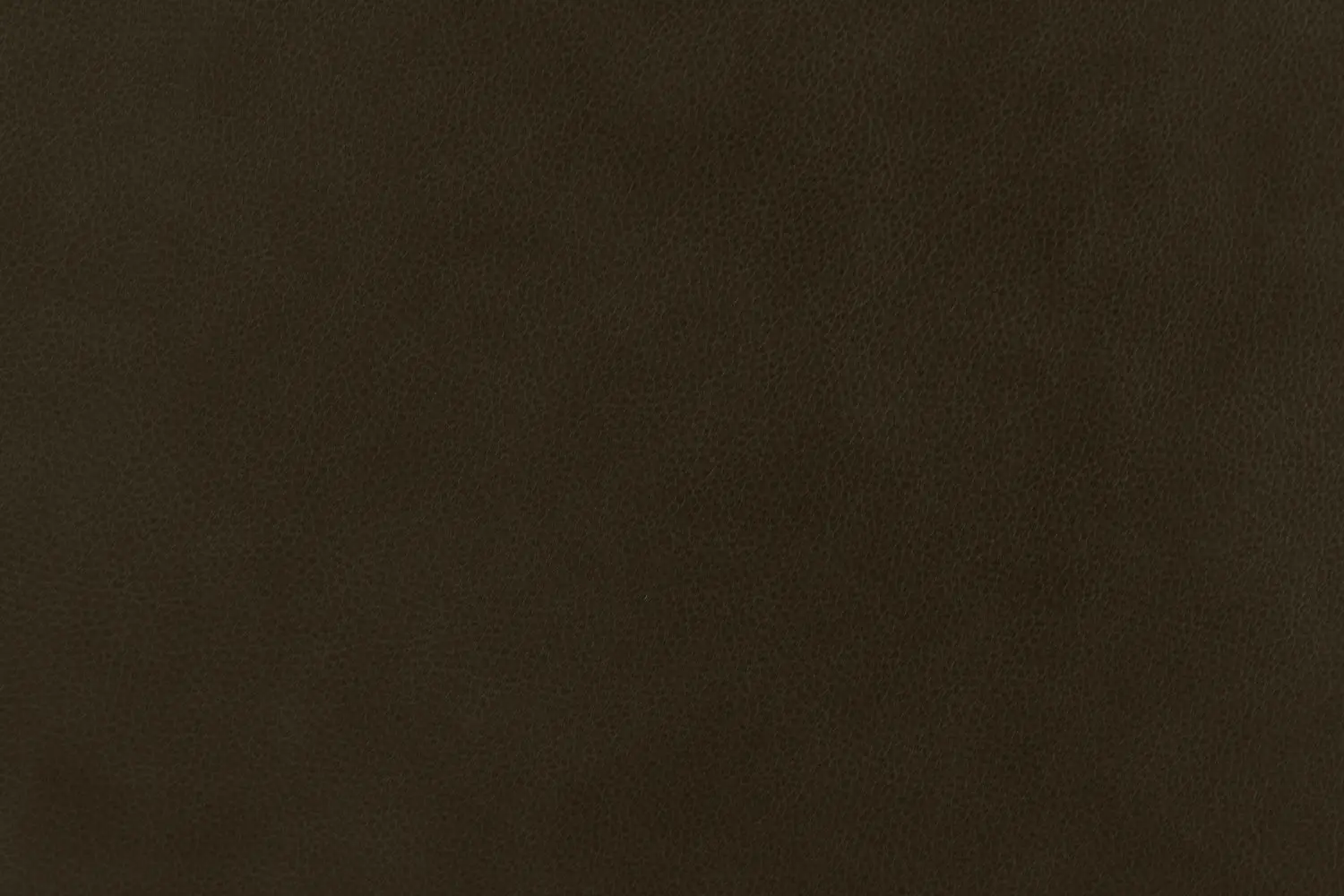 8210344-10