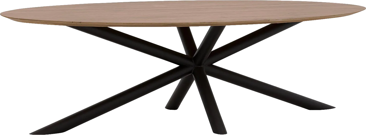 Goossens Excellent Eettafel Gs-1302, Ovaal 260 x 130 cm