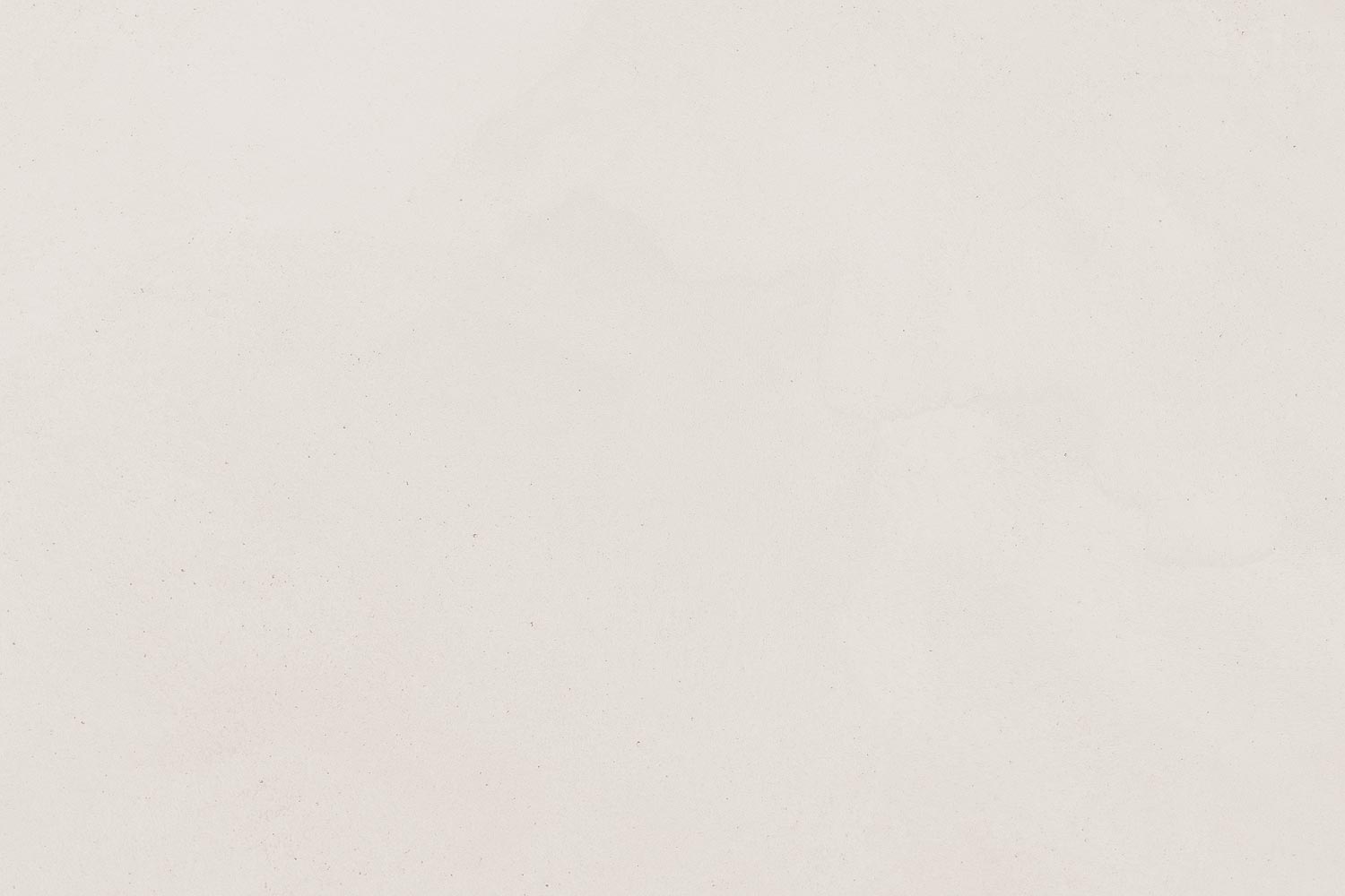 8222081-06