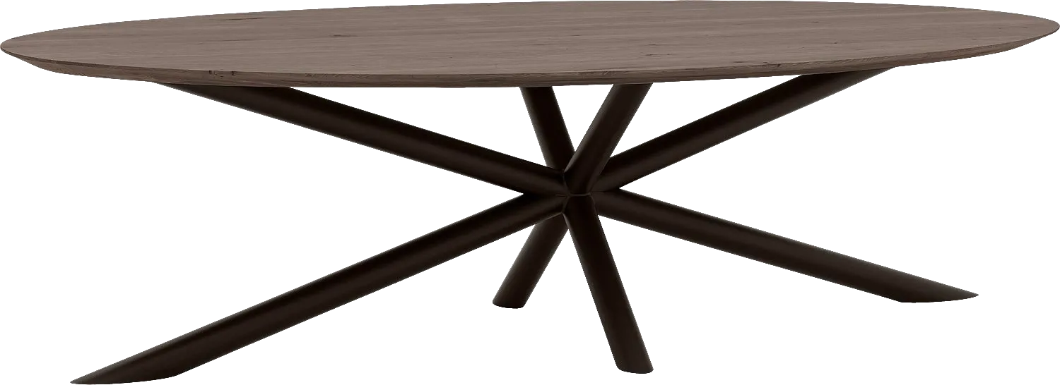 Goossens Excellent Eettafel Gs-1302, Ovaal 280 x 130 cm