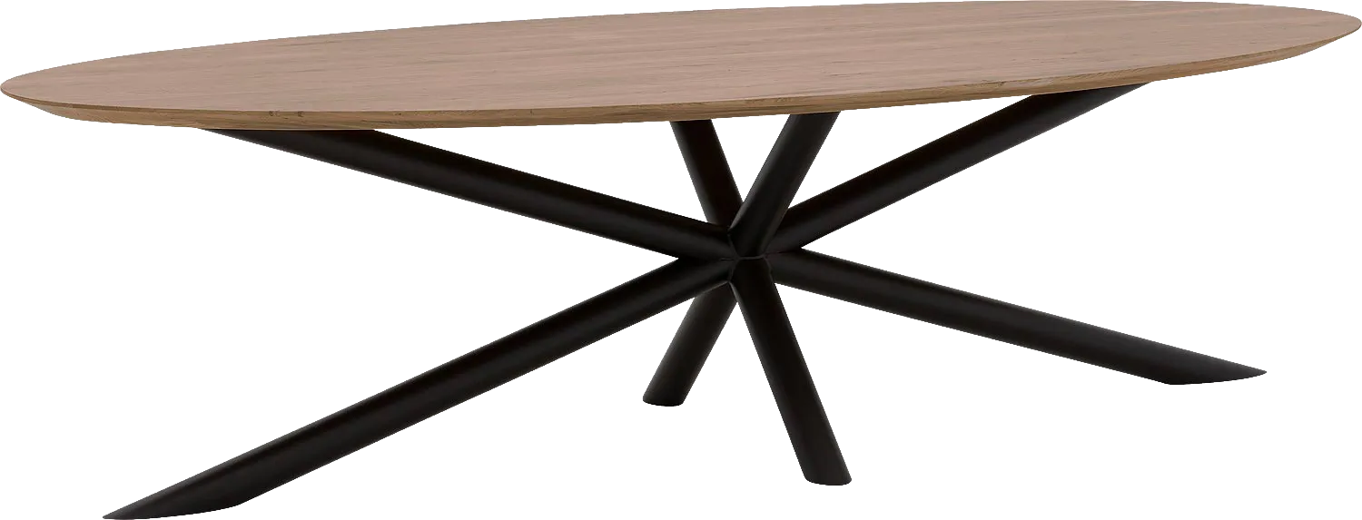 Goossens Excellent Eettafel Gs-1302, Ovaal 280 x 130 cm