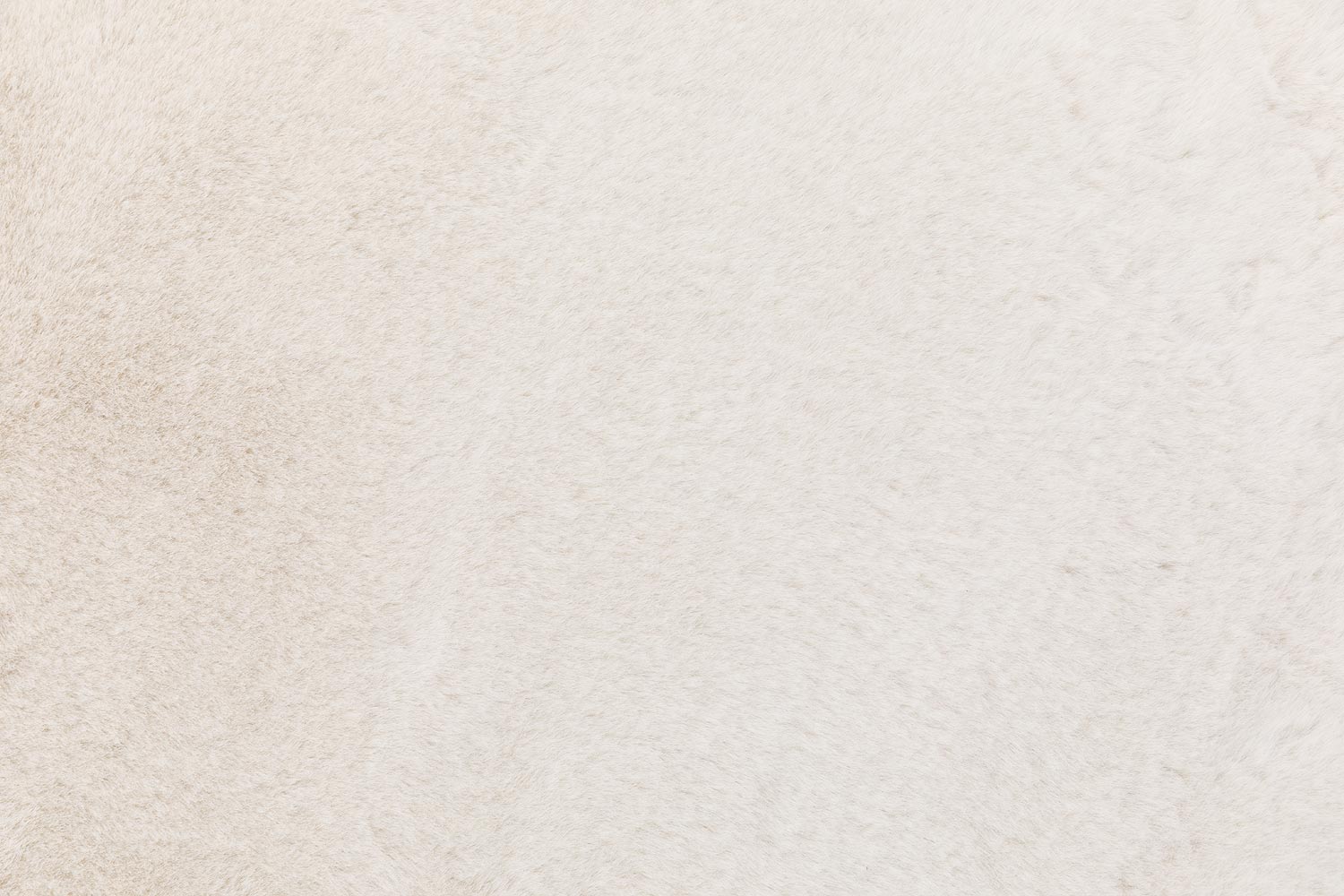 8228454-06