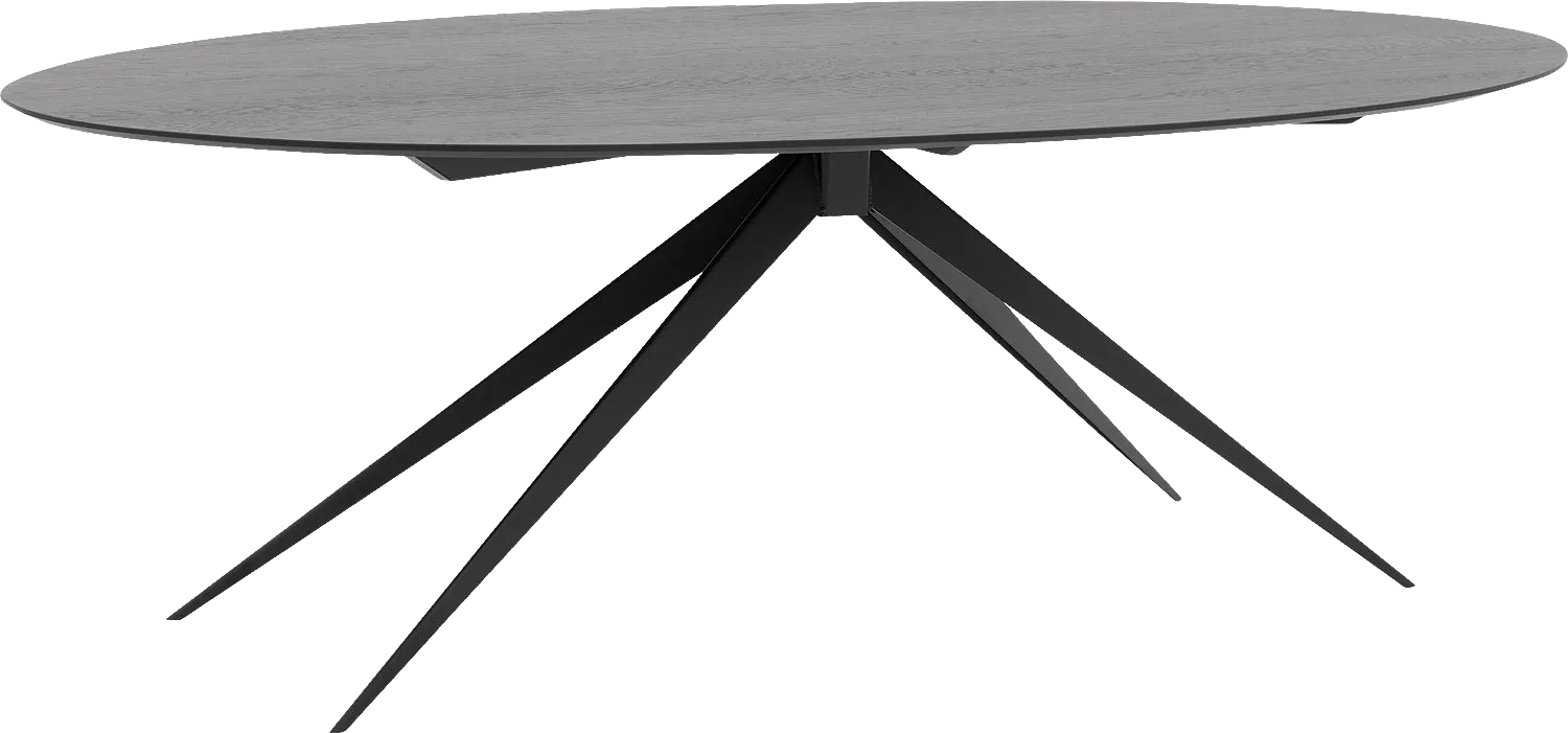 Goossens Excellent Eettafel Uniek, Ovaal 260 x 120 cm