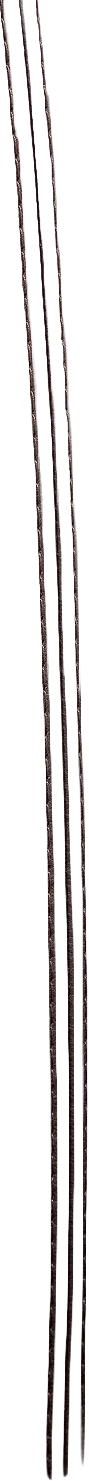 8121829-09