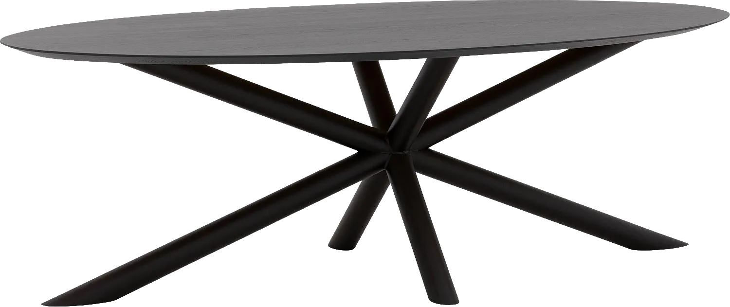 Goossens Excellent Eettafel Gs-1302, Ovaal 240 x 130 cm