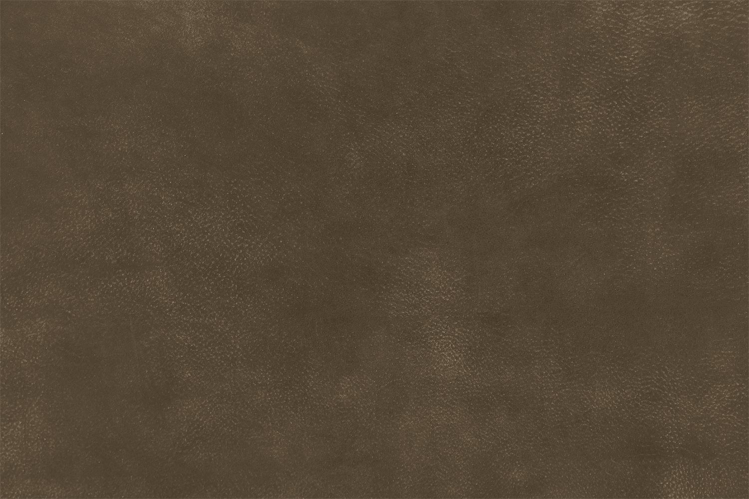 8191149-196-07