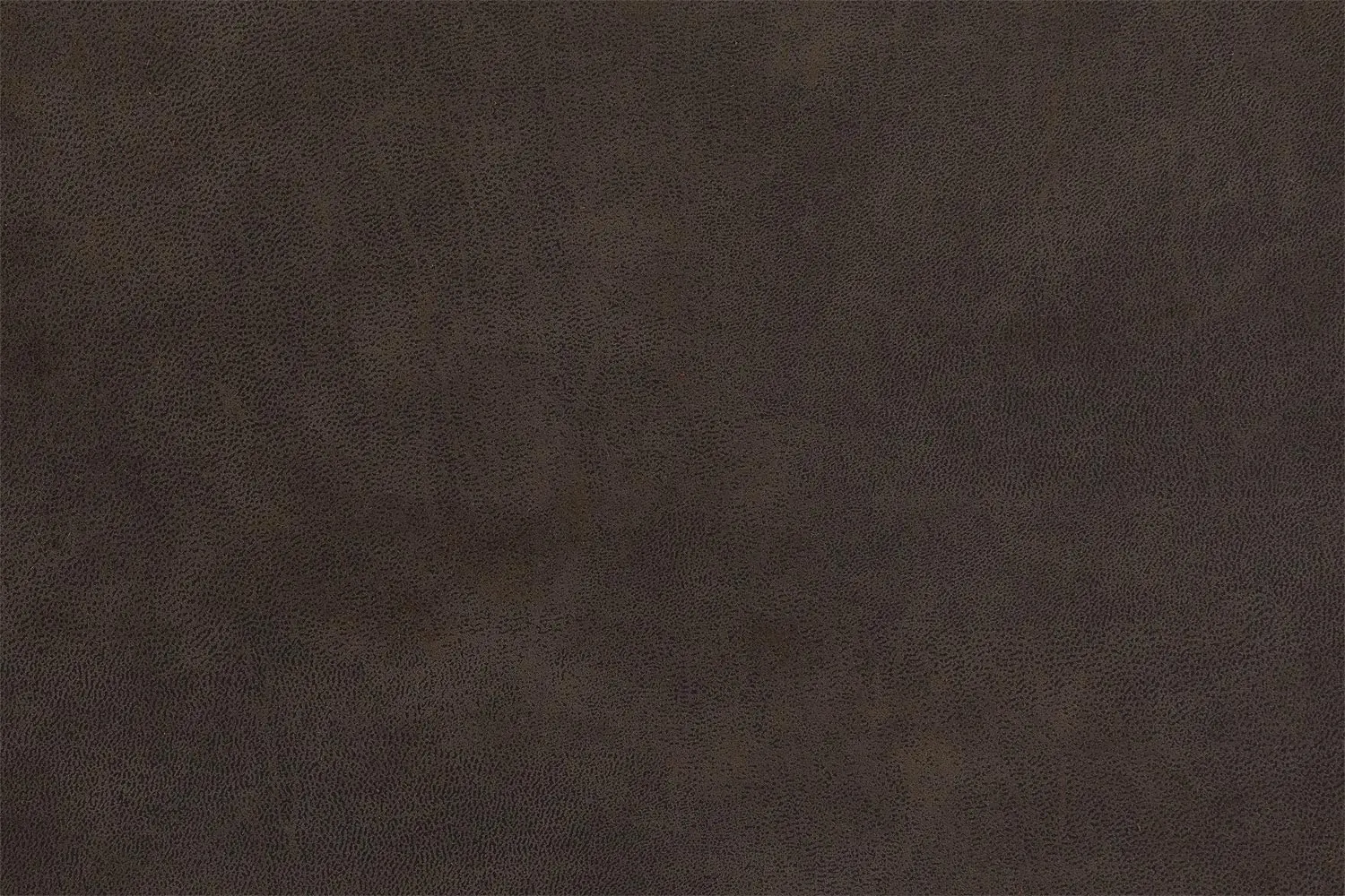 8215269-09