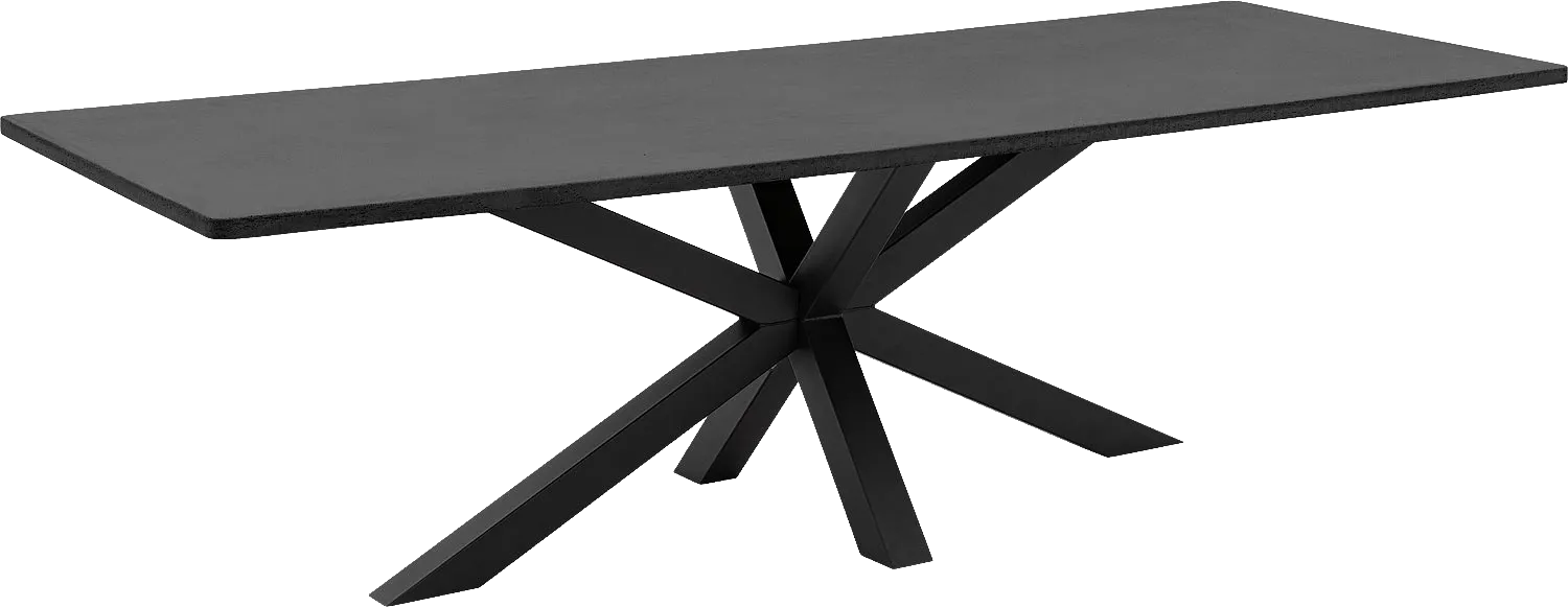 Goossens Eettafel Stone, Rechthoekig 250 x 110 cm