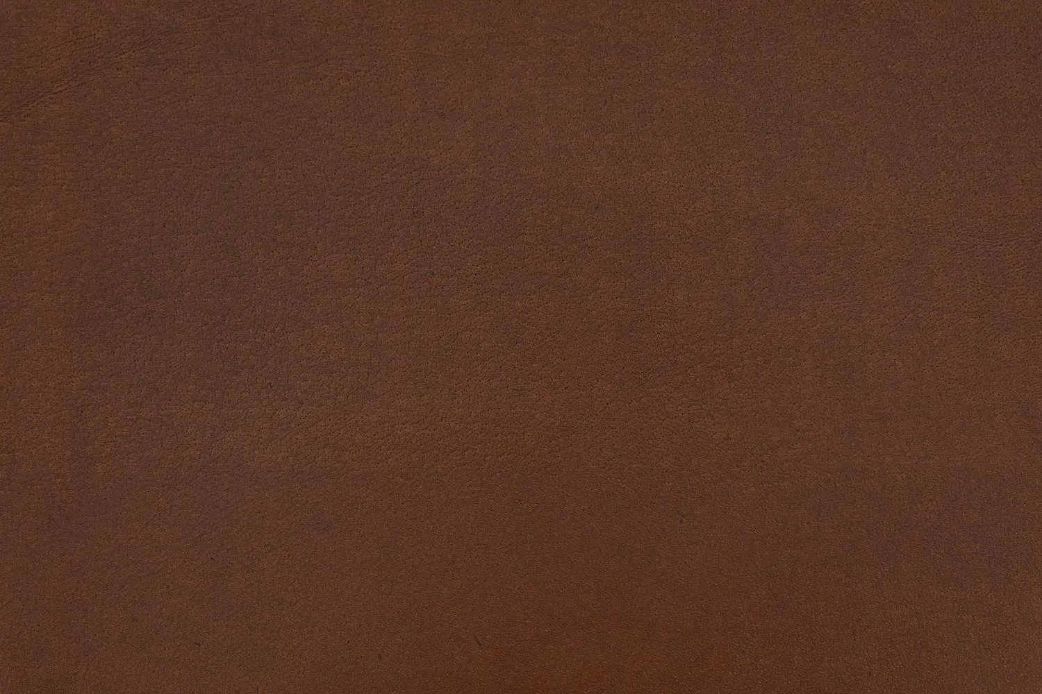 8219153-07