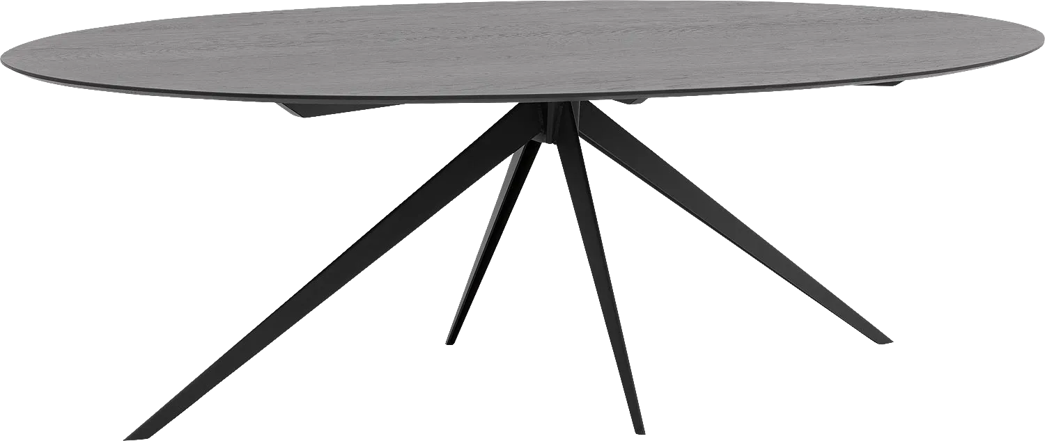 Goossens Excellent Eettafel Uniek, Ovaal 240 x 120 cm