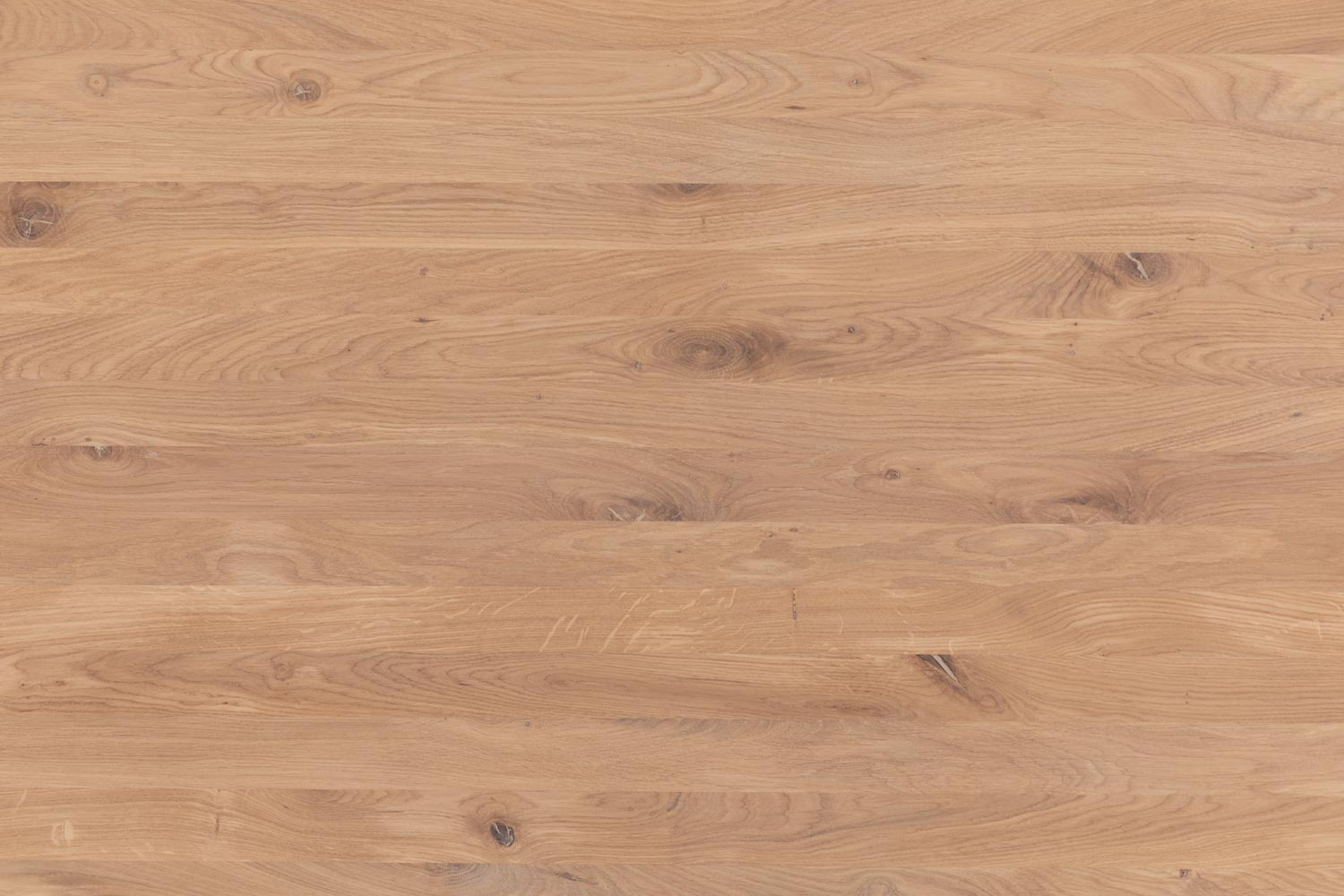 8203439-08