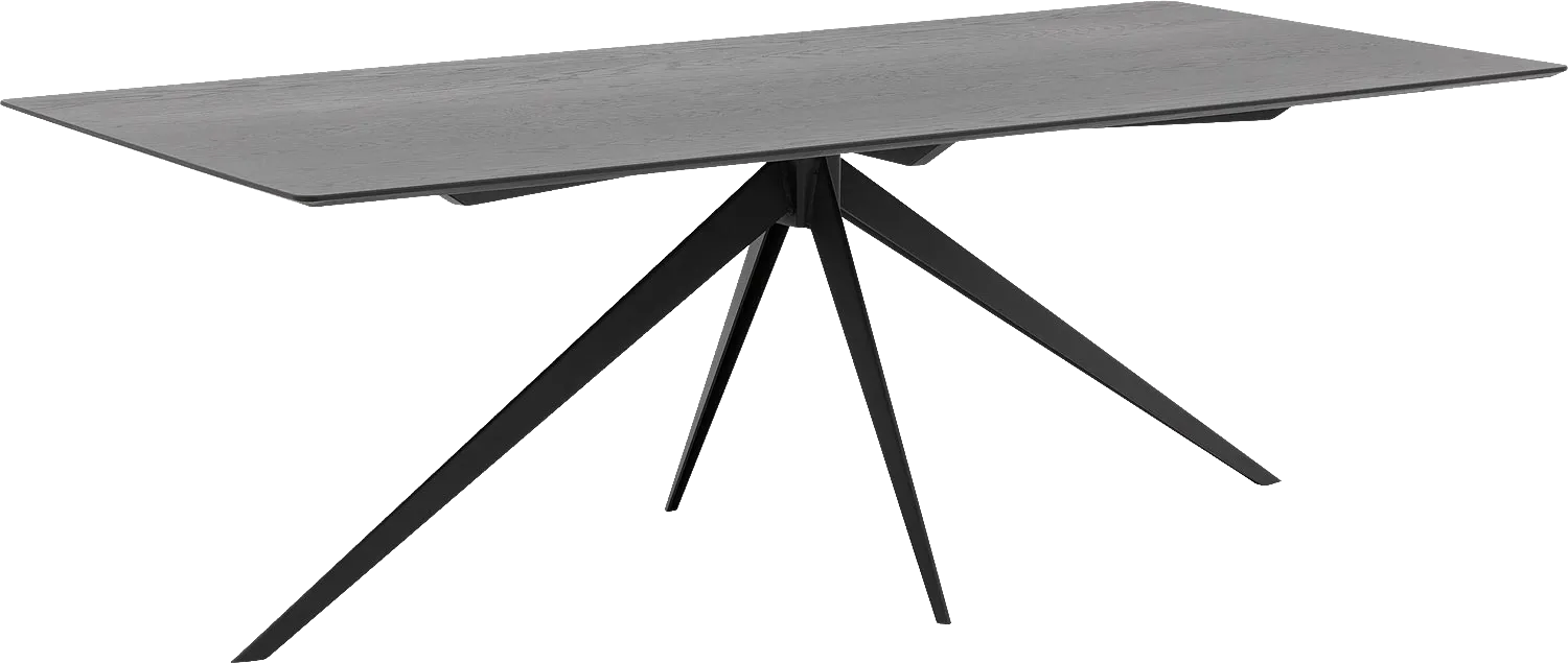 Goossens Excellent Eettafel Uniek, Rechthoekig 220 x 100 cm