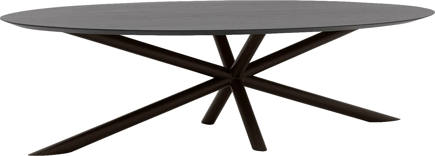 Goossens Excellent Eettafel Gs-1302, Ovaal 280 x 130 cm