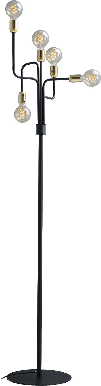 8181313-01