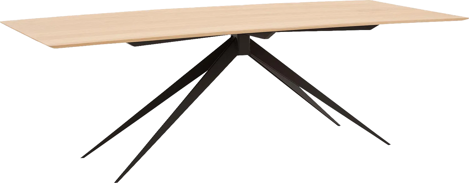 Goossens Excellent Eettafel Uniek, Rechthoekig 240 x 100 cm