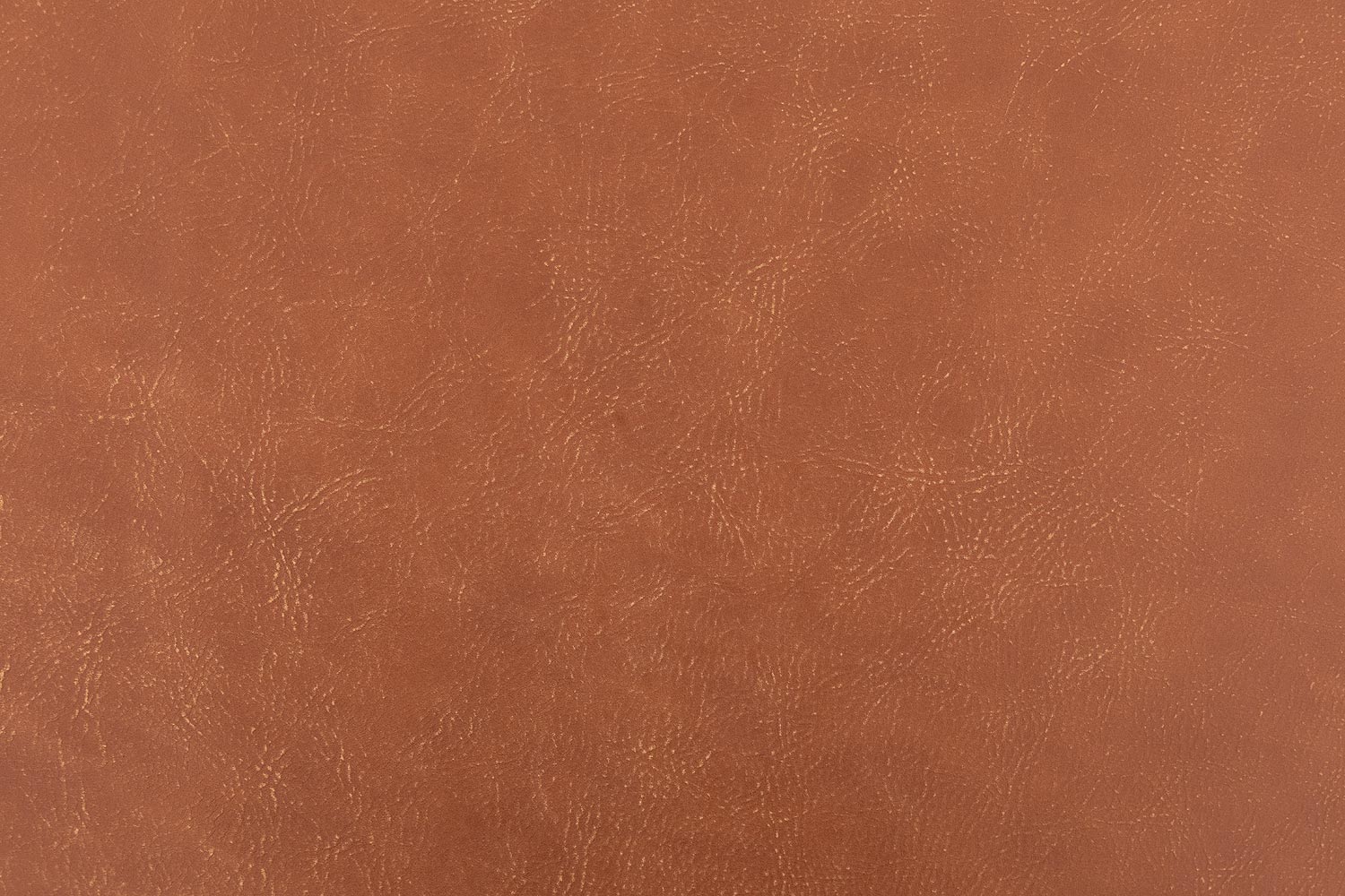 8227288-06