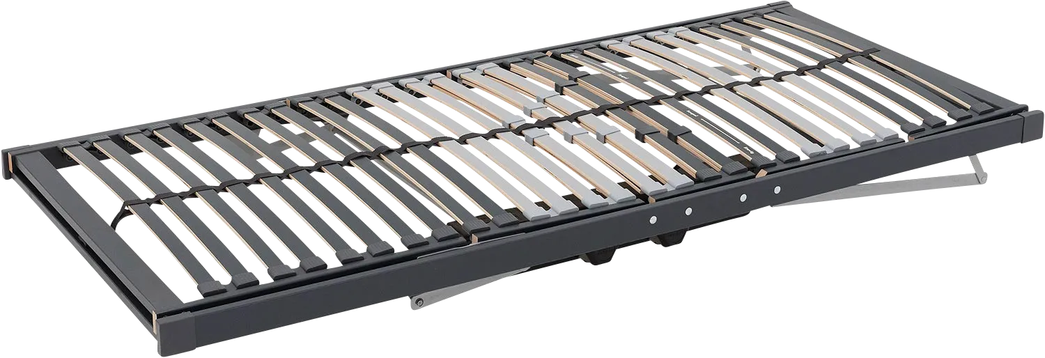 Goossens Basic Lattenbodem Base, Lattenbodem inzet 28 lats 100 x 210 cm electrisch verstelbaar