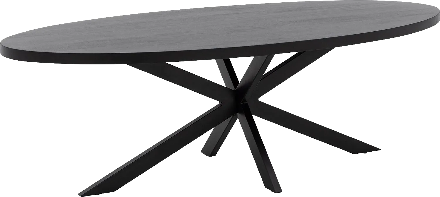 Goossens Basic Eettafel Lecca, Semi rond 240 x 110 cm