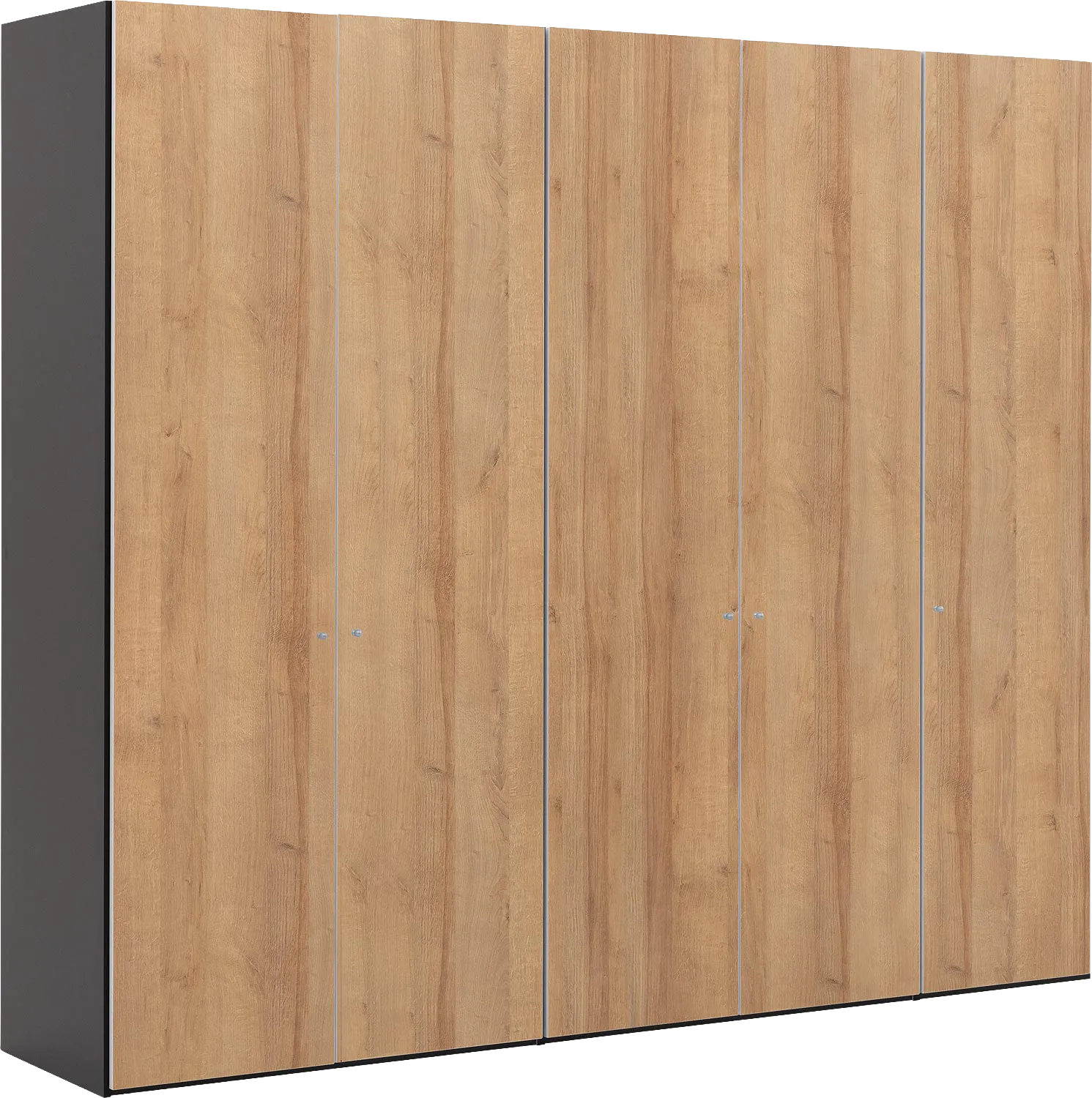 Goossens Kledingkast Easy Storage Ddk, Kledingkast 253 cm breed, 220 cm hoog, 5x draaideur