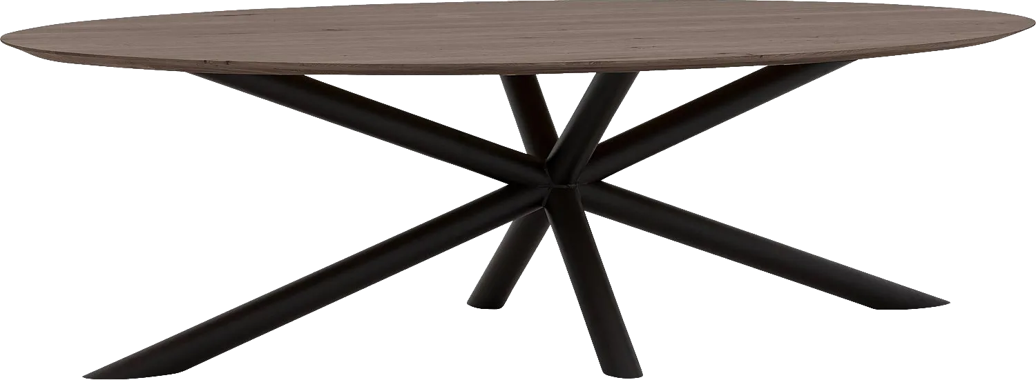 Goossens Excellent Eettafel Gs-1302, Ovaal 260 x 130 cm