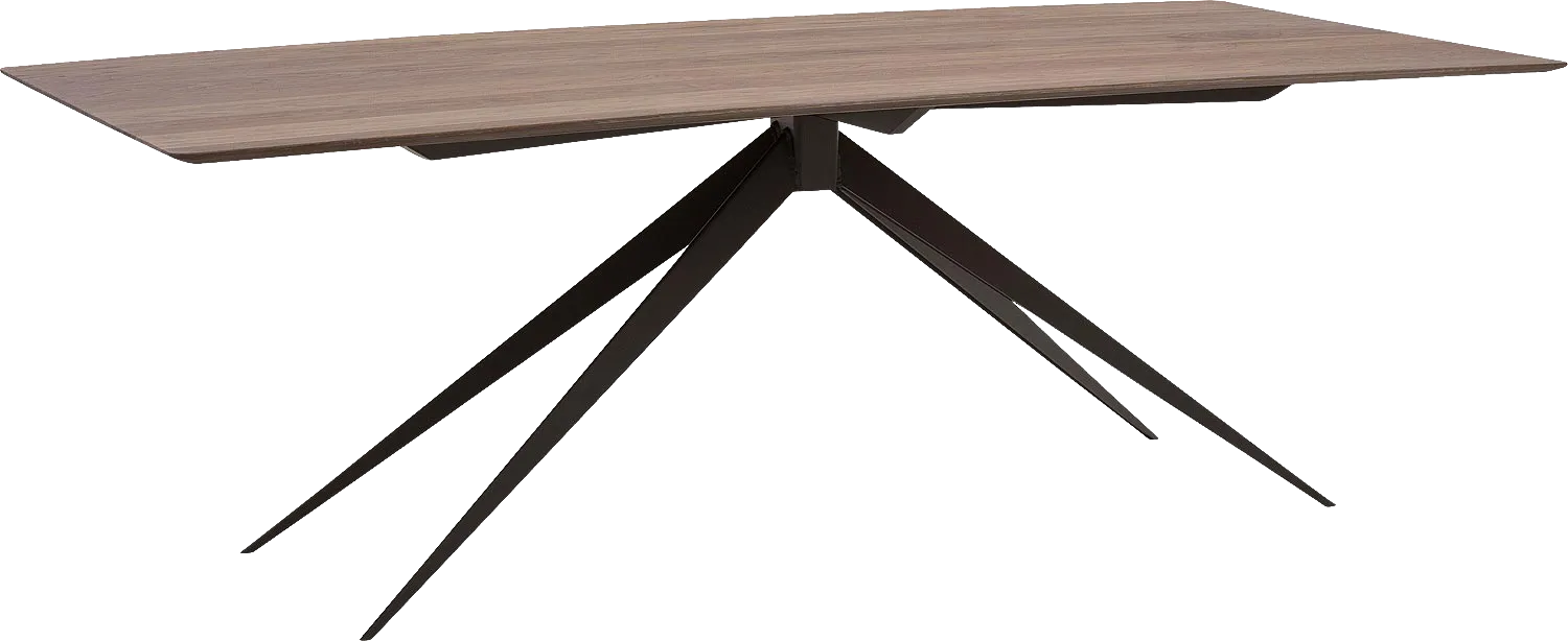 Goossens Excellent Eettafel Uniek, Rechthoekig 220 x 100 cm